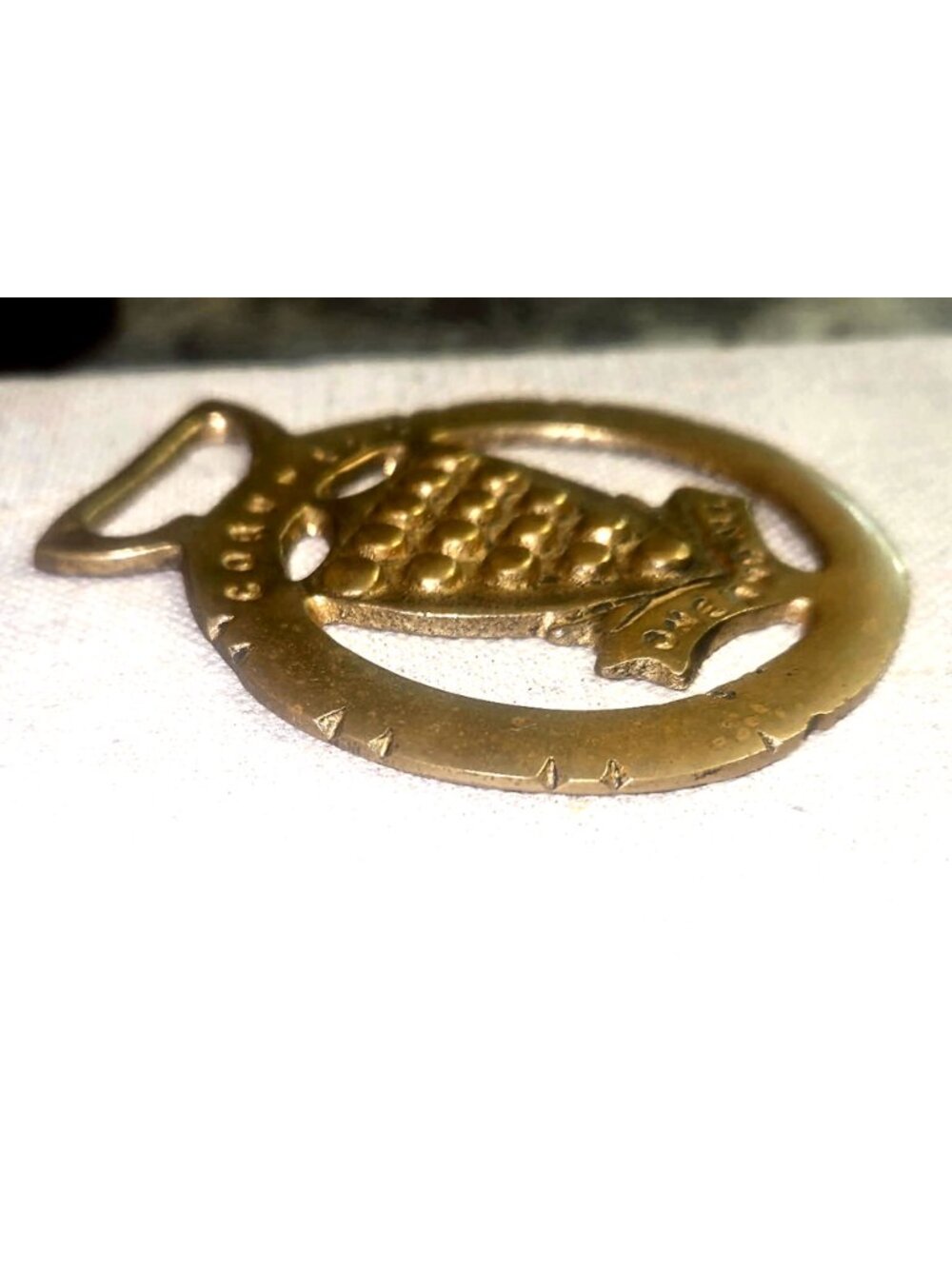 Cornwall County Insignia Antique Horse Brass Medallion Rare Equine Collectible - Picture 6 of 6